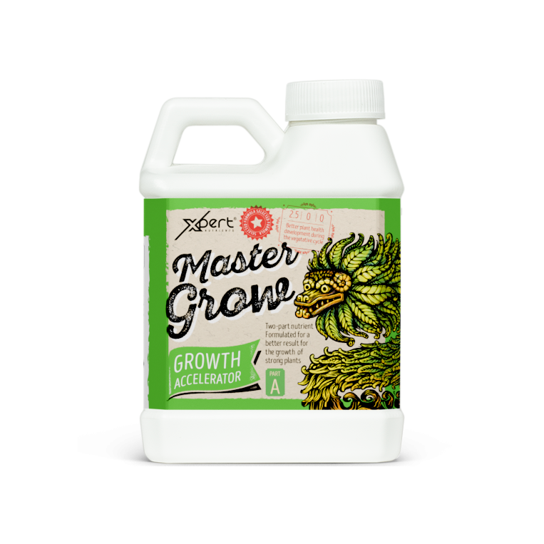 XPERT MASTER GROW A+B