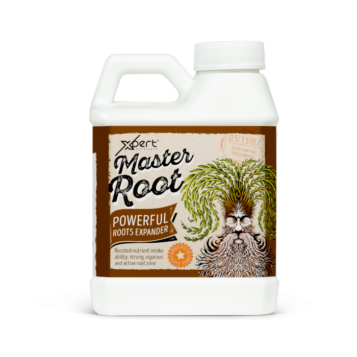XPERT MASTER ROOT