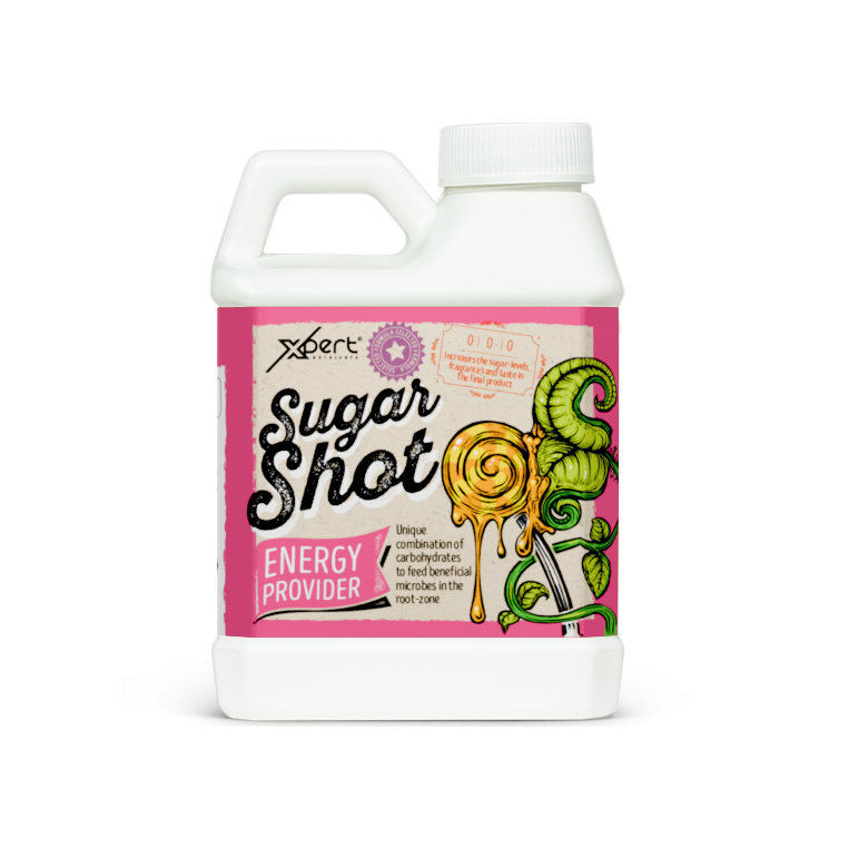 XPERT SUGAR SHOT