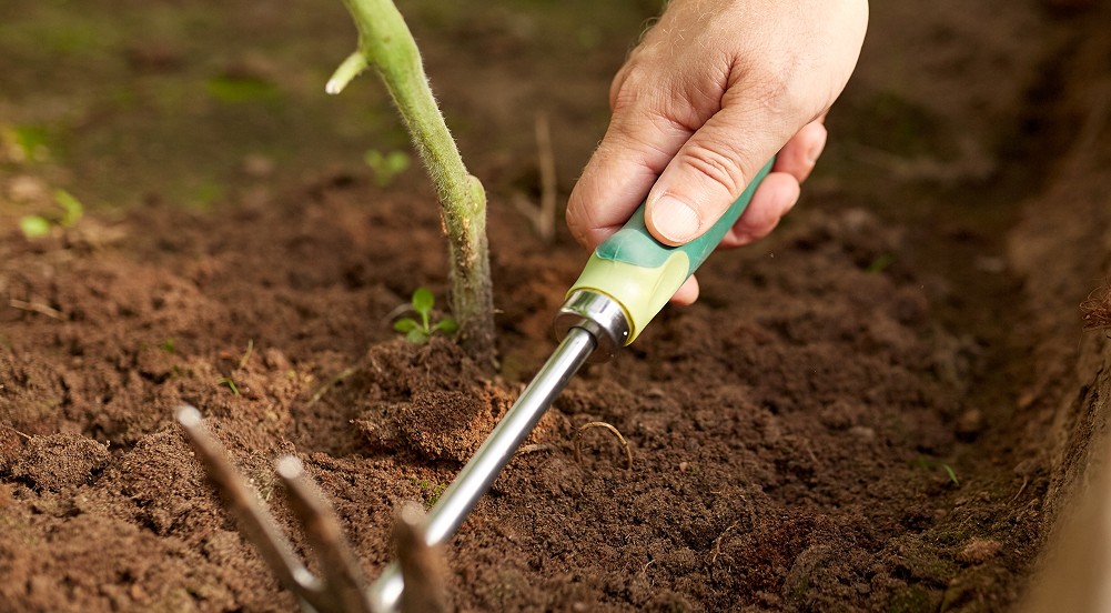Herramientas de jardinería