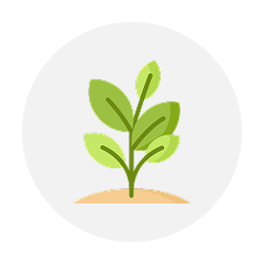 Plantas