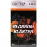 BLOSSOM BLASTER 20 GR