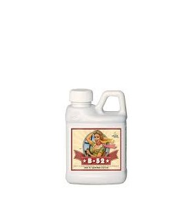 B 52 250ML