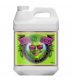 BIG BUD 10L