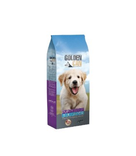 GOLDEN CAN PUPPIES 4KG